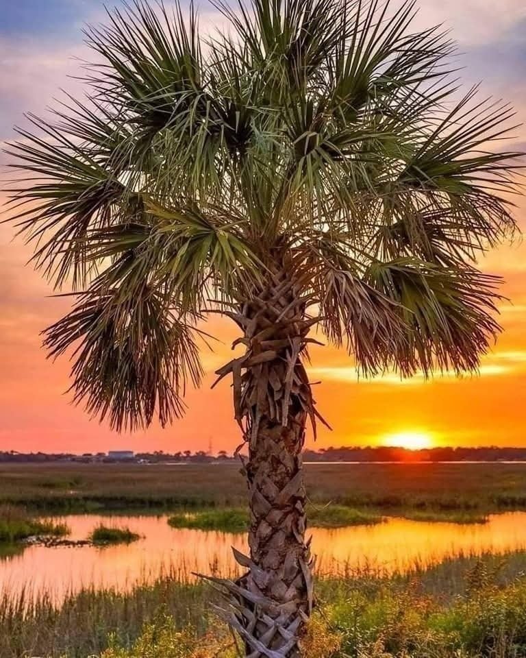 Hilton Head Island South Carolina Sunset Hilton head Island